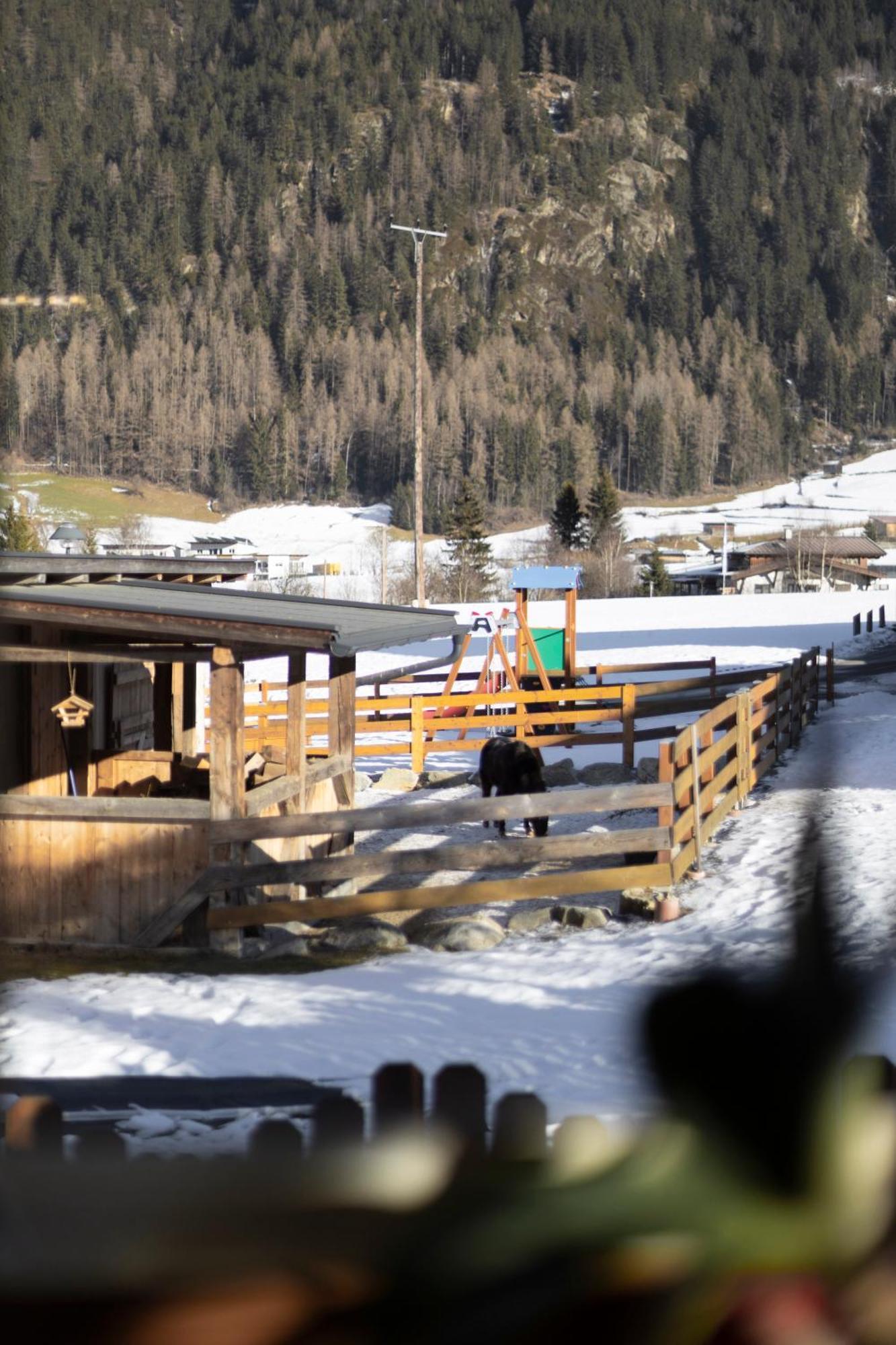 Ferienhaus Tirol Im Oetztal ウムハウゼン エクステリア 写真